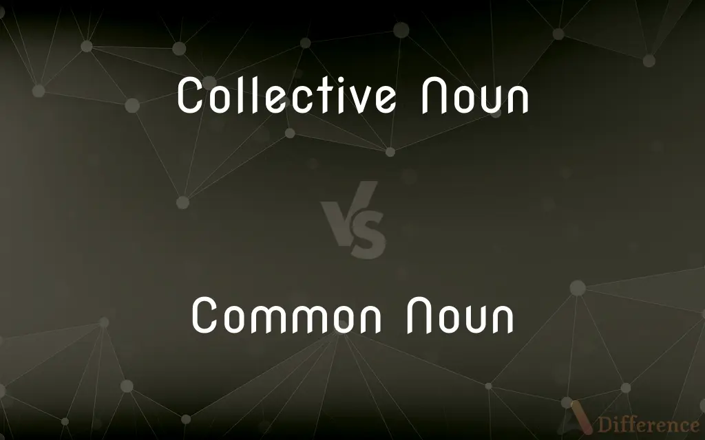 Collective Noun vs. Common Noun — What's the Difference?