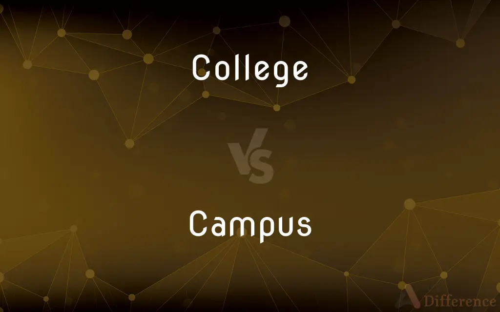 College vs. Campus — What's the Difference?