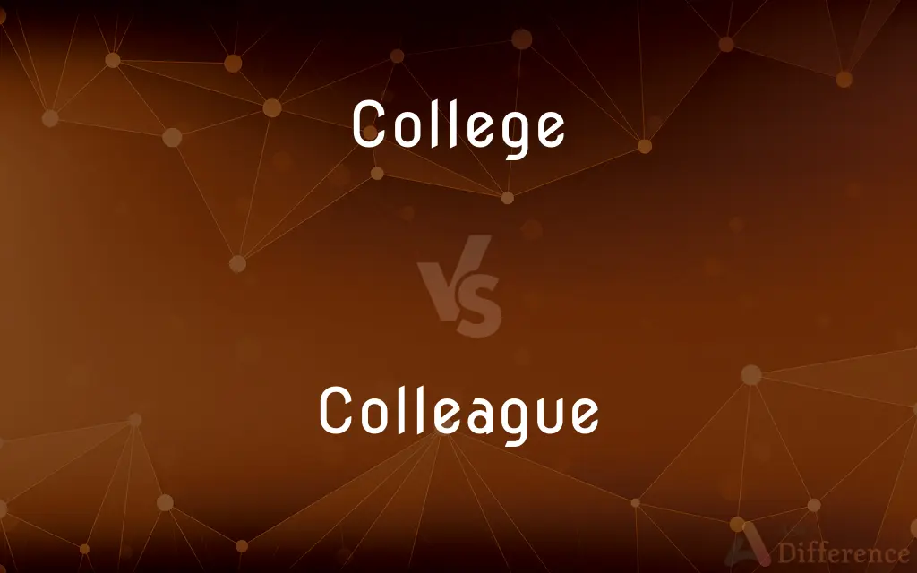 College vs. Colleague — What's the Difference?