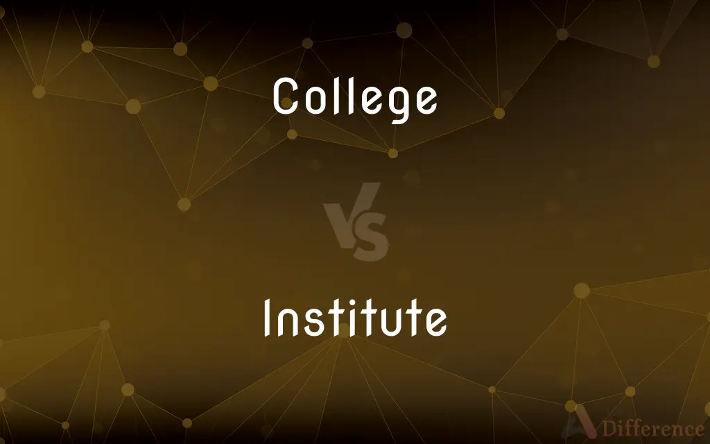 College vs. Institute — What's the Difference?