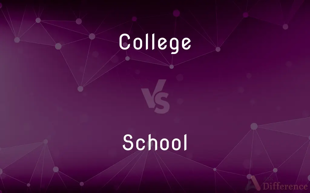 College vs. School — What's the Difference?