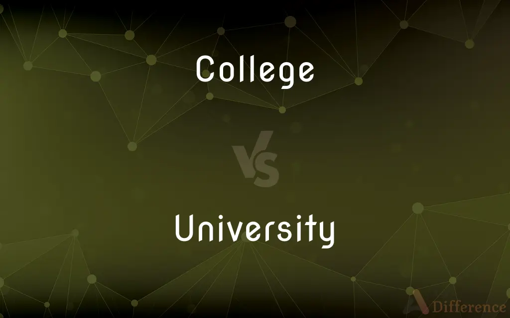 College vs. University — What's the Difference?