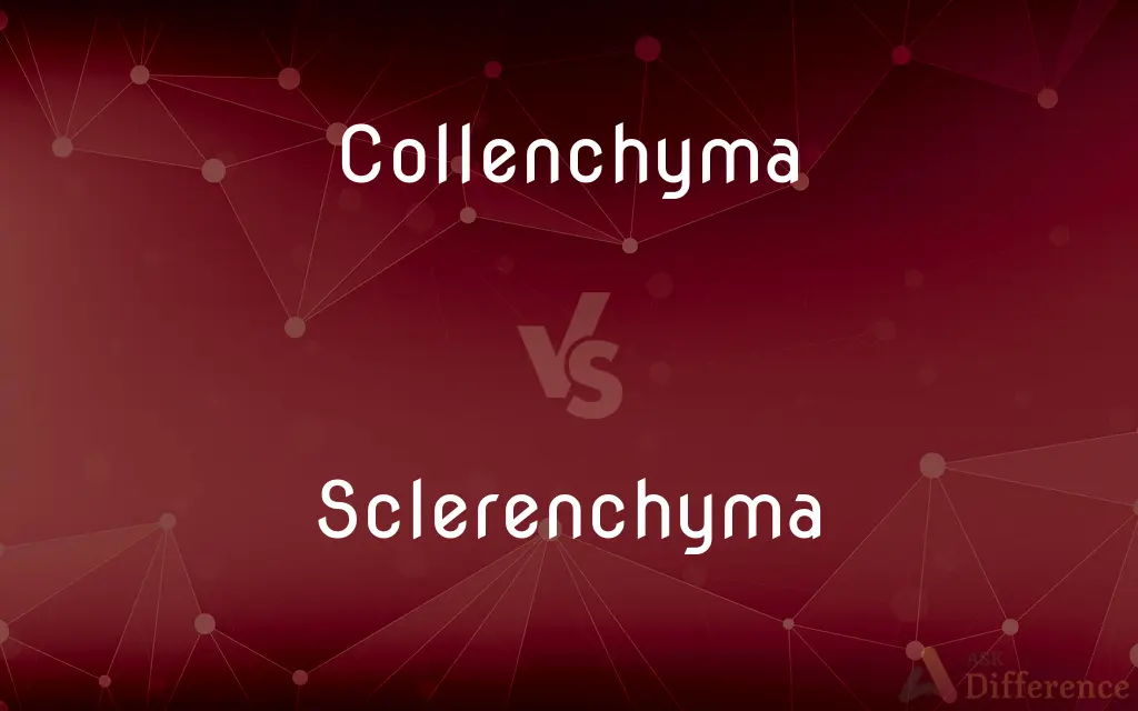 Collenchyma vs. Sclerenchyma — What's the Difference?