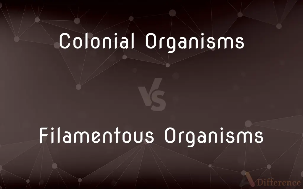 Colonial Organisms vs. Filamentous Organisms — What's the Difference?
