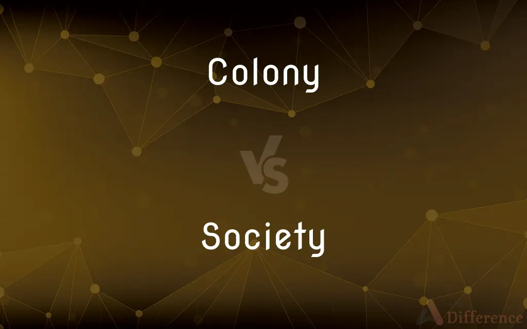 Colony vs. Society — What's the Difference?