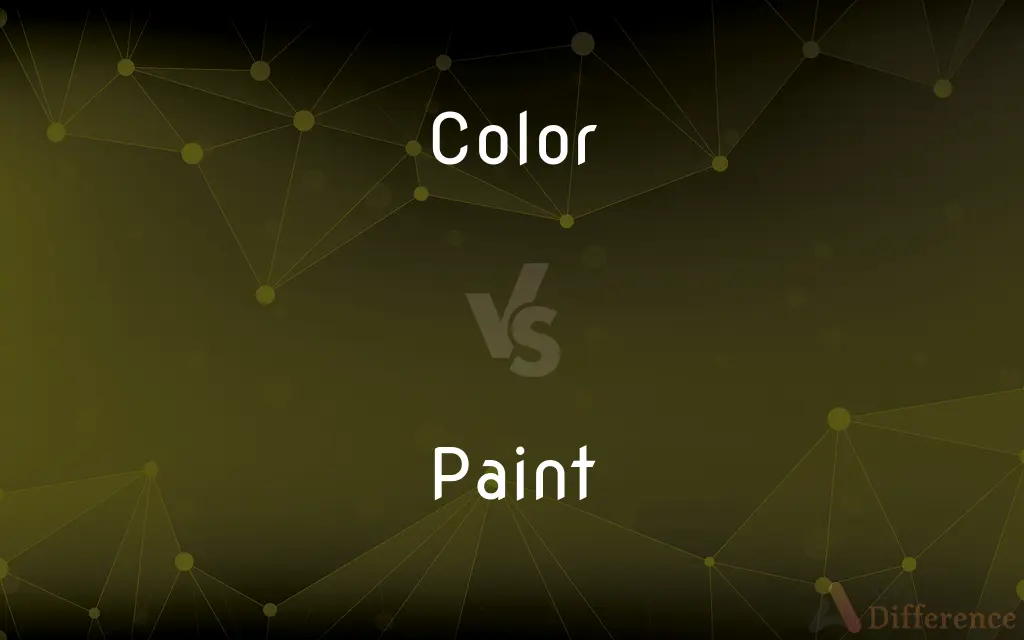 Color vs. Paint — What's the Difference?