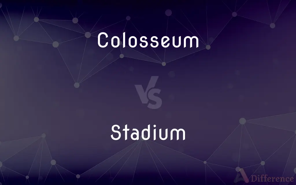 Colosseum vs. Stadium — What's the Difference?
