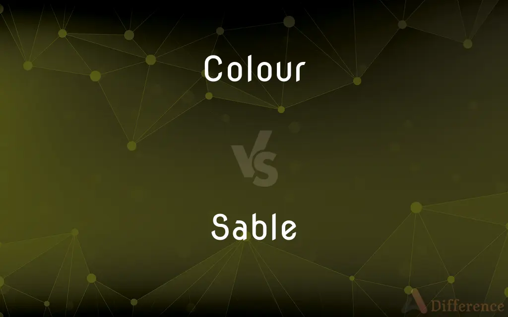 Colour vs. Sable — What's the Difference?