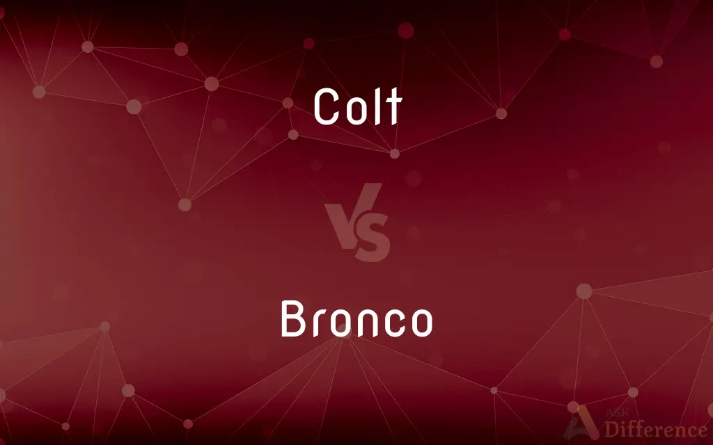 Colt vs. Bronco — What's the Difference?