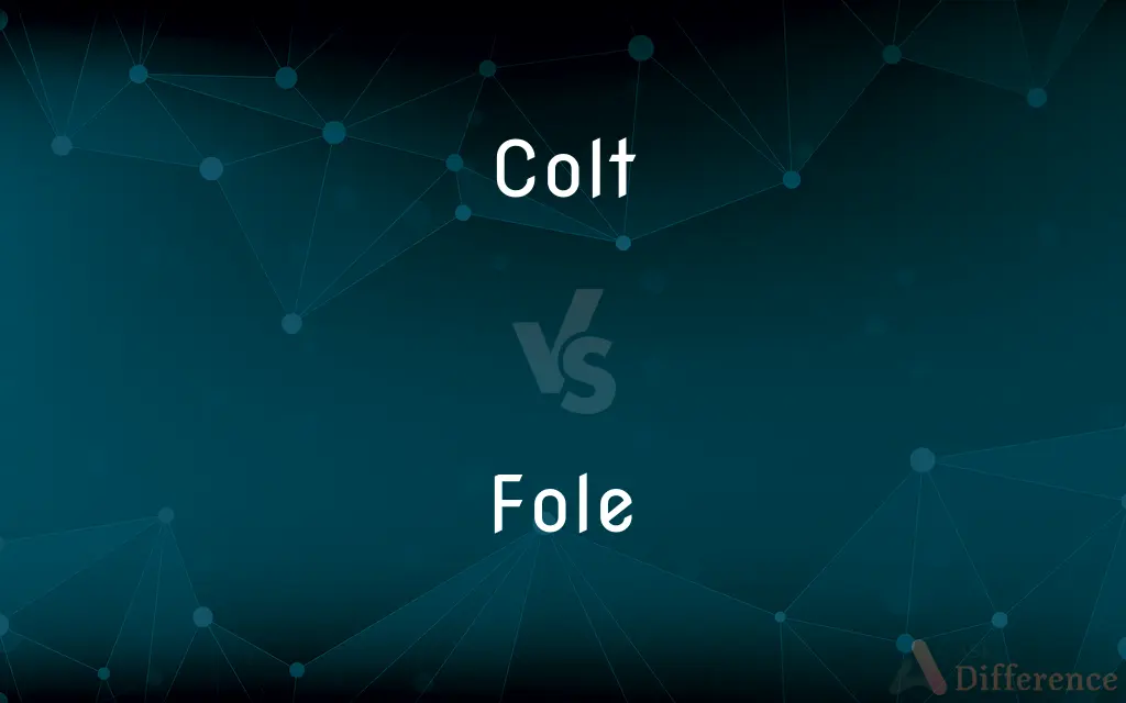 Colt vs. Fole — What's the Difference?