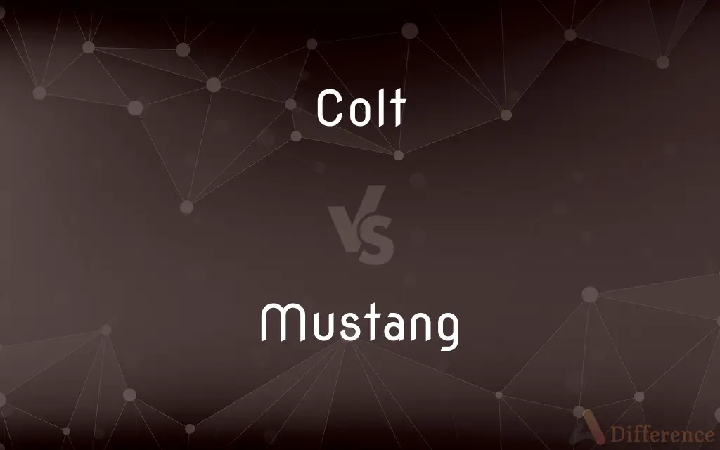 Colt vs. Mustang — What's the Difference?