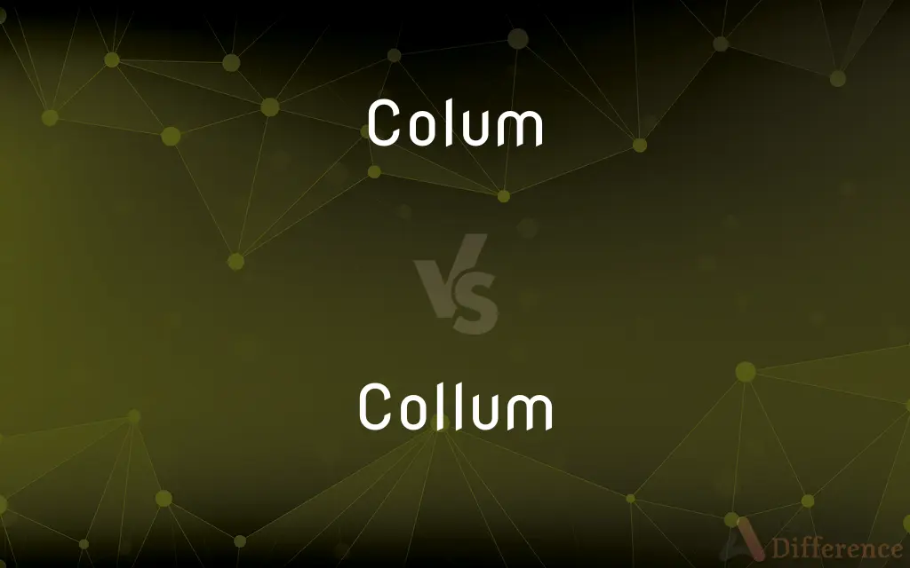 Colum vs. Collum — Which is Correct Spelling?