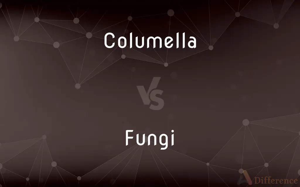 Columella vs. Fungi — What's the Difference?