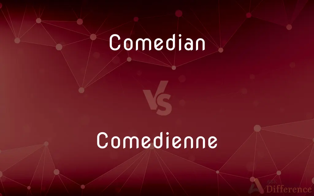 Comedian vs. Comedienne — What's the Difference?