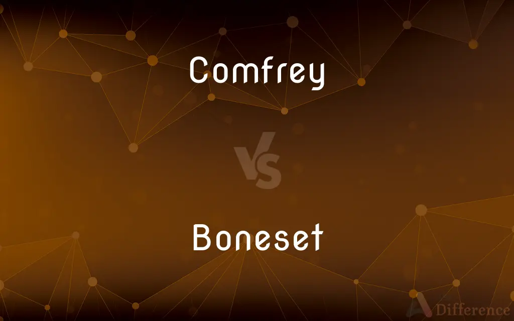 Comfrey vs. Boneset — What's the Difference?
