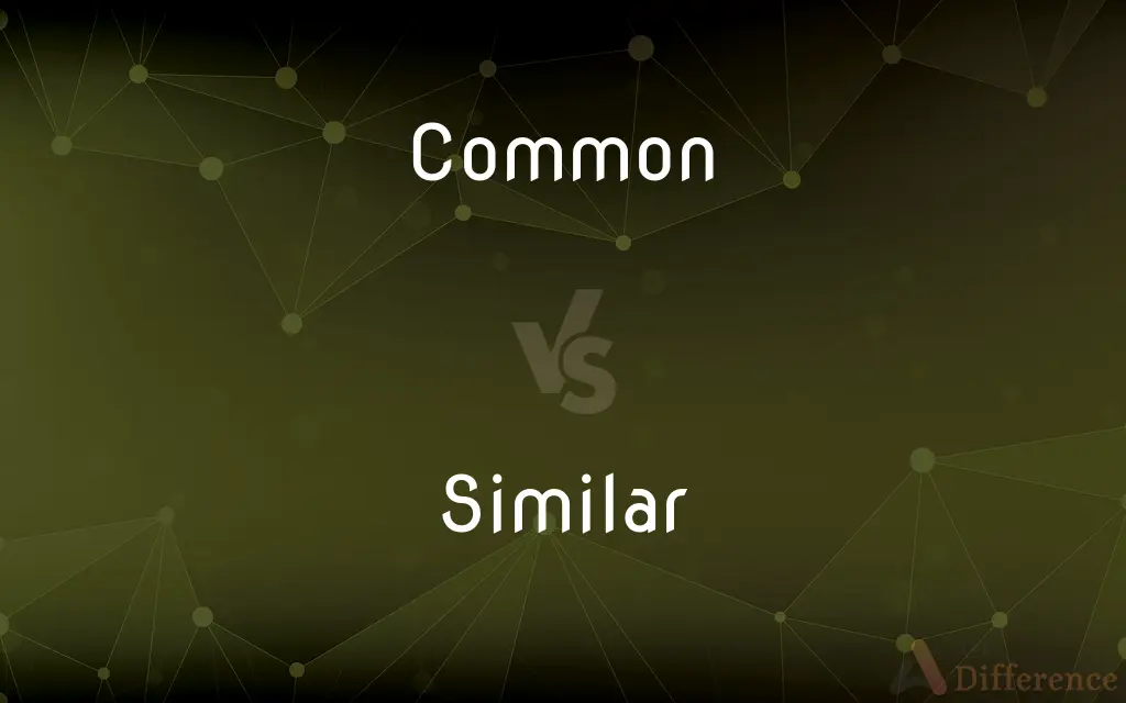 Common vs. Similar — What's the Difference?