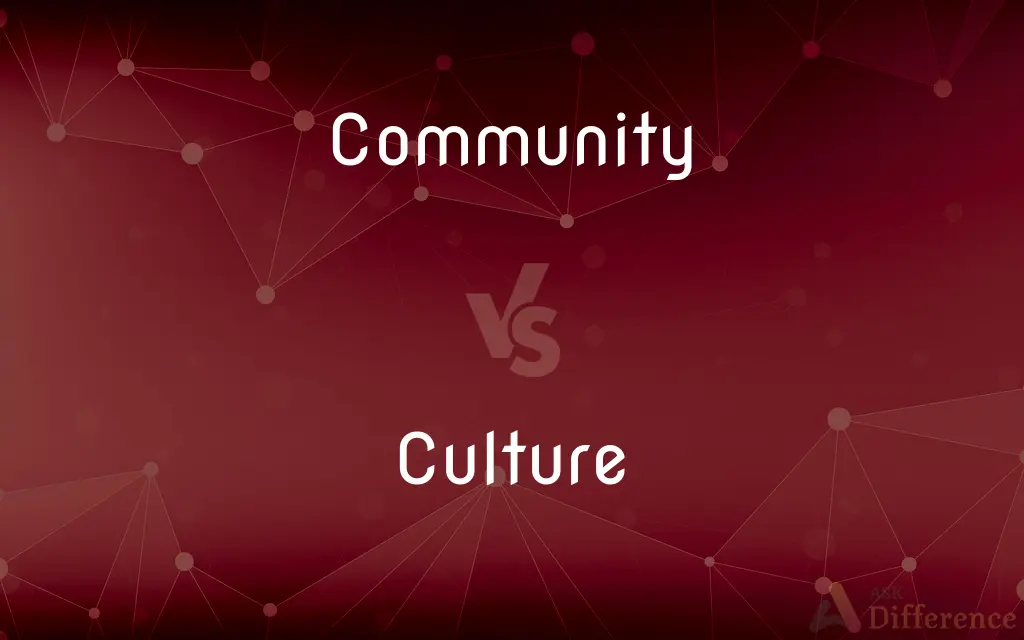 Community vs. Culture — What's the Difference?