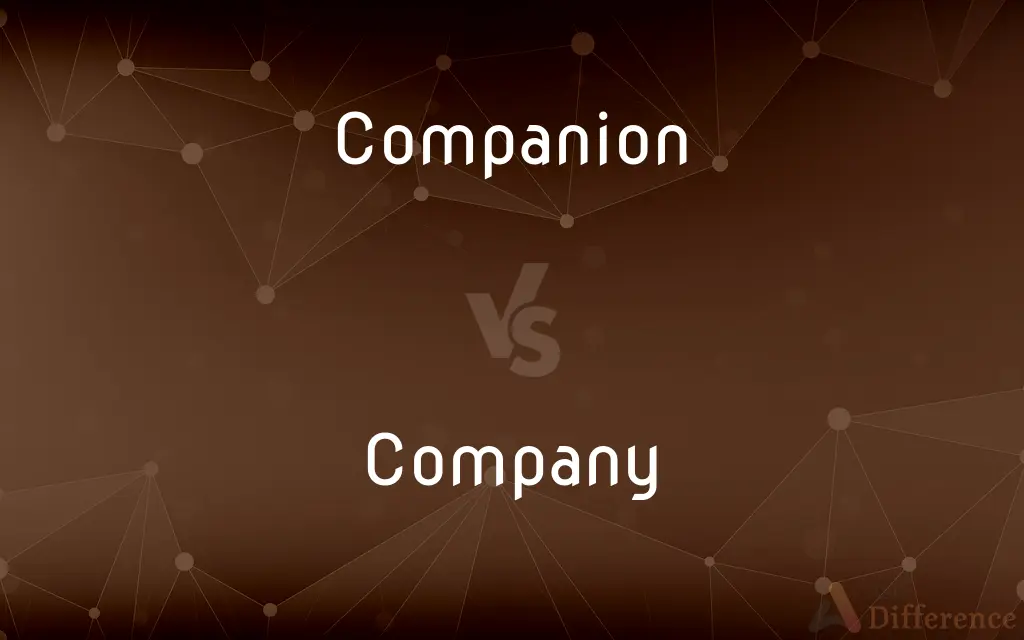 Companion vs. Company — What's the Difference?