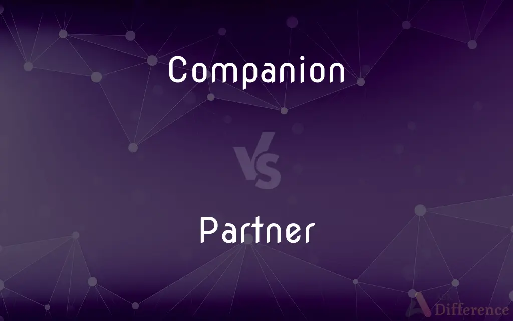 Companion vs. Partner