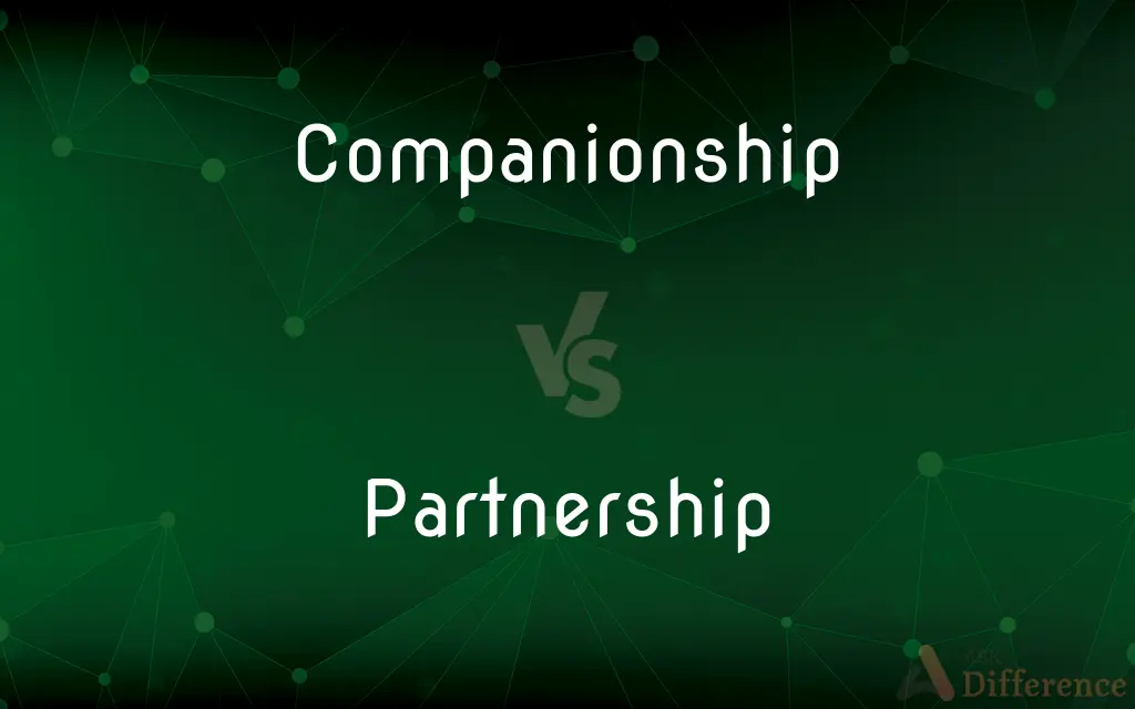 Companionship vs. Partnership — What's the Difference?