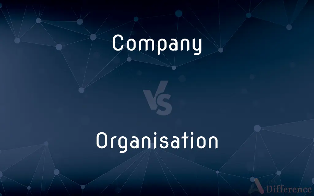 Company vs. Organisation — What's the Difference?