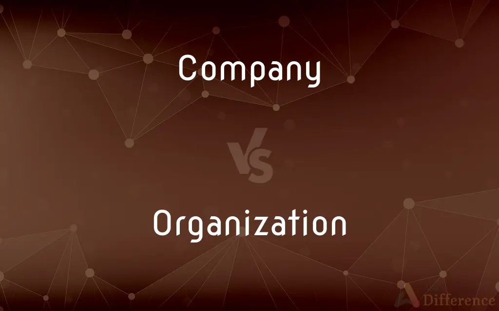 Company vs. Organization — What's the Difference?
