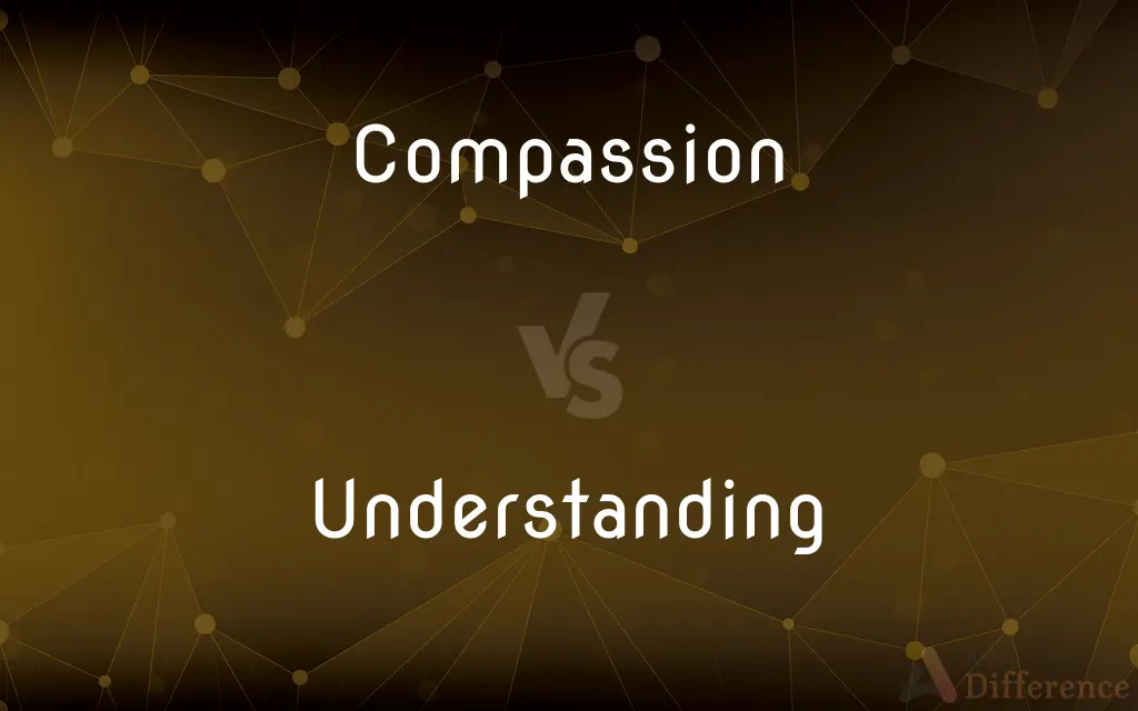 Compassion vs. Understanding — What's the Difference?