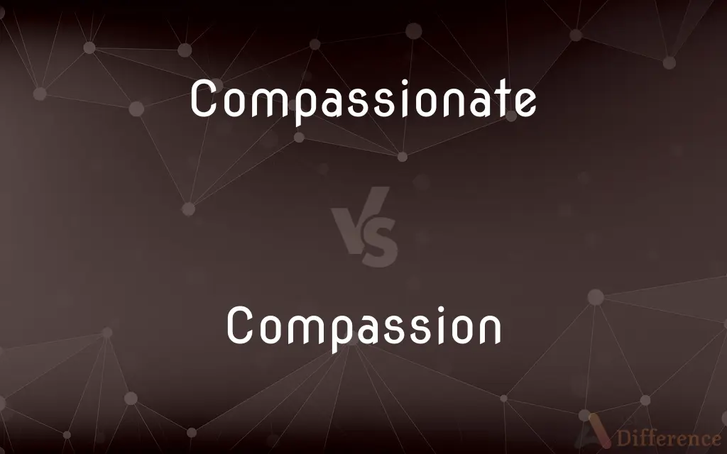 Compassionate vs. Compassion — What's the Difference?