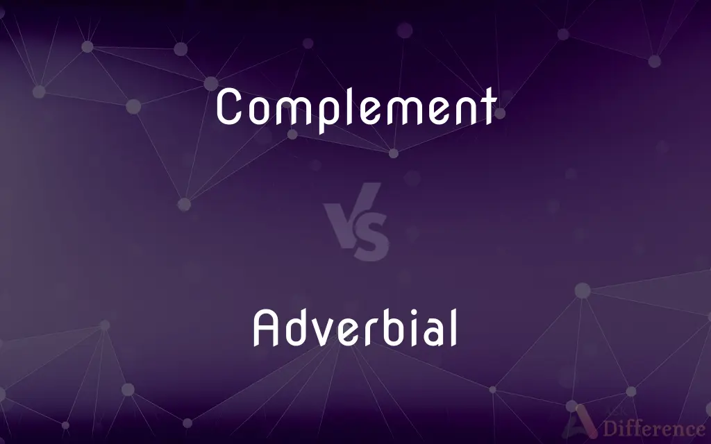 Complement vs. Adverbial — What's the Difference?