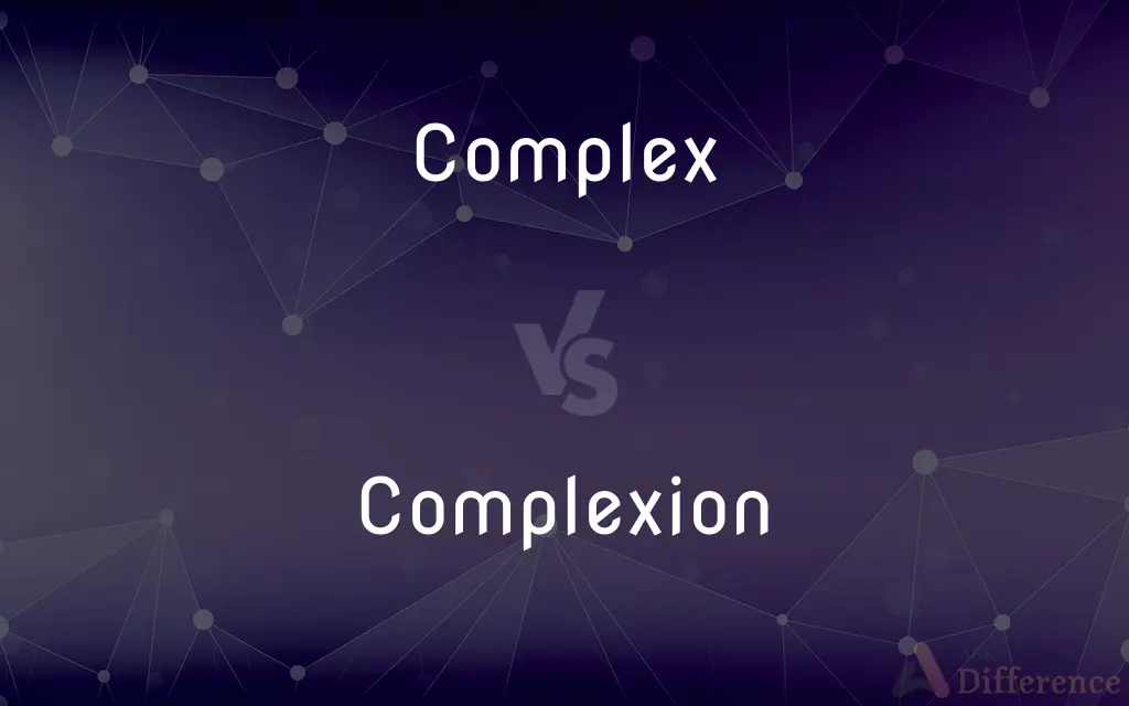Complex vs. Complexion — What's the Difference?