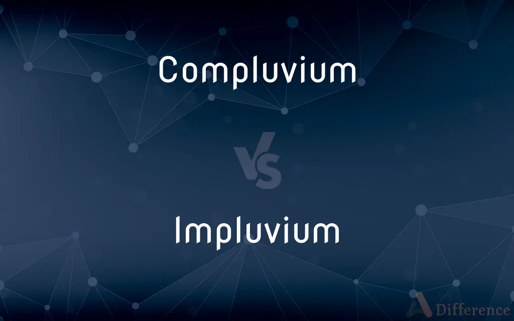 Compluvium vs. Impluvium — What's the Difference?