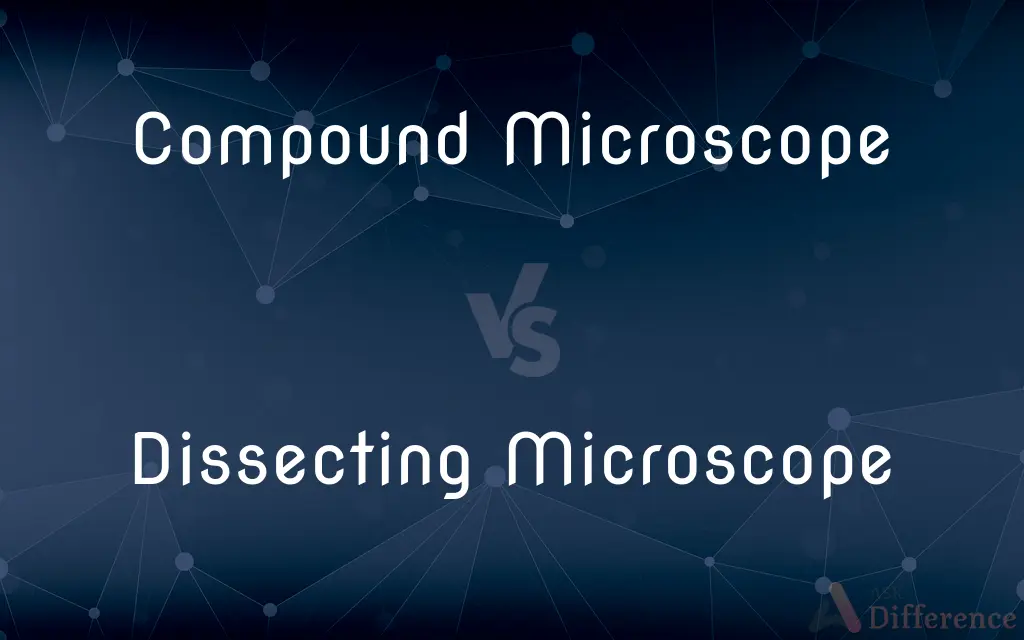 Compound Microscope vs. Dissecting Microscope — What's the Difference?