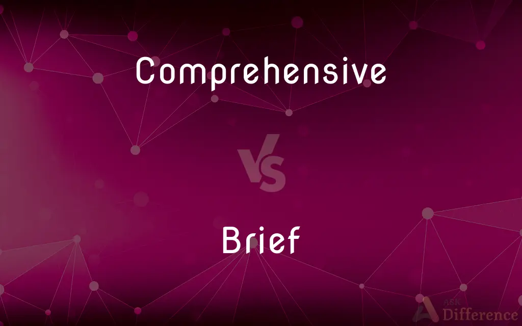 Comprehensive vs. Brief — What's the Difference?