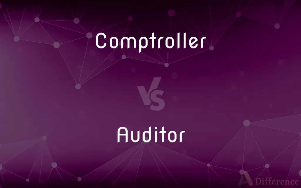 Comptroller vs. Auditor — What's the Difference?