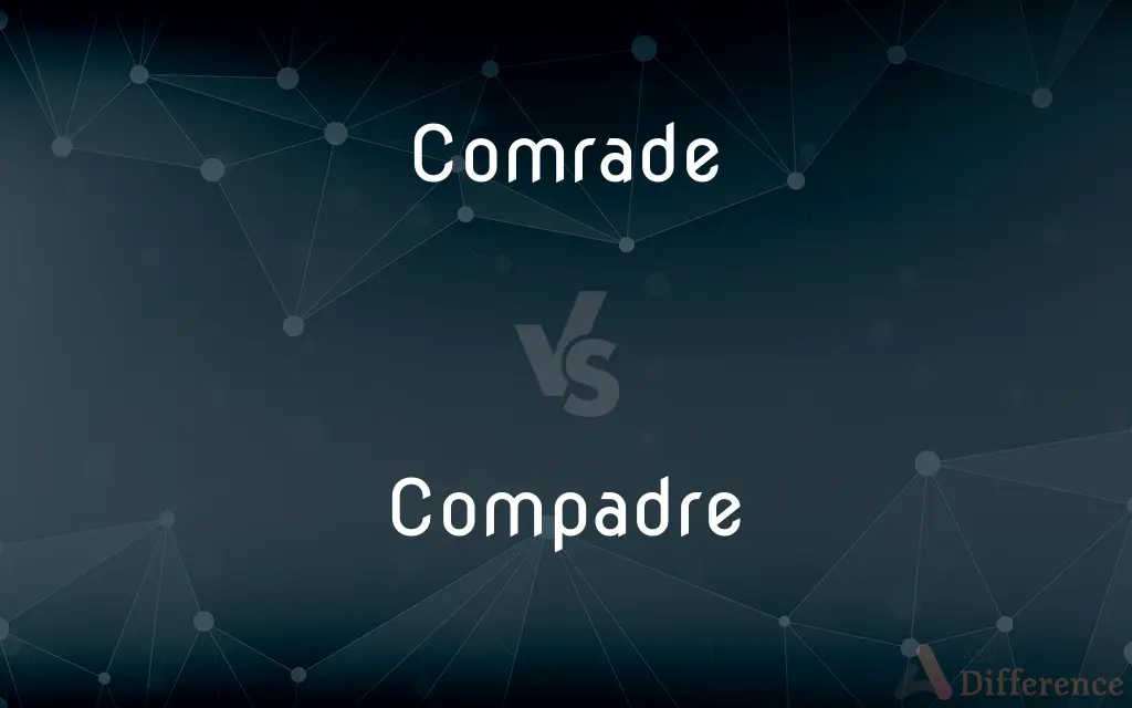 Comrade vs. Compadre — What's the Difference?
