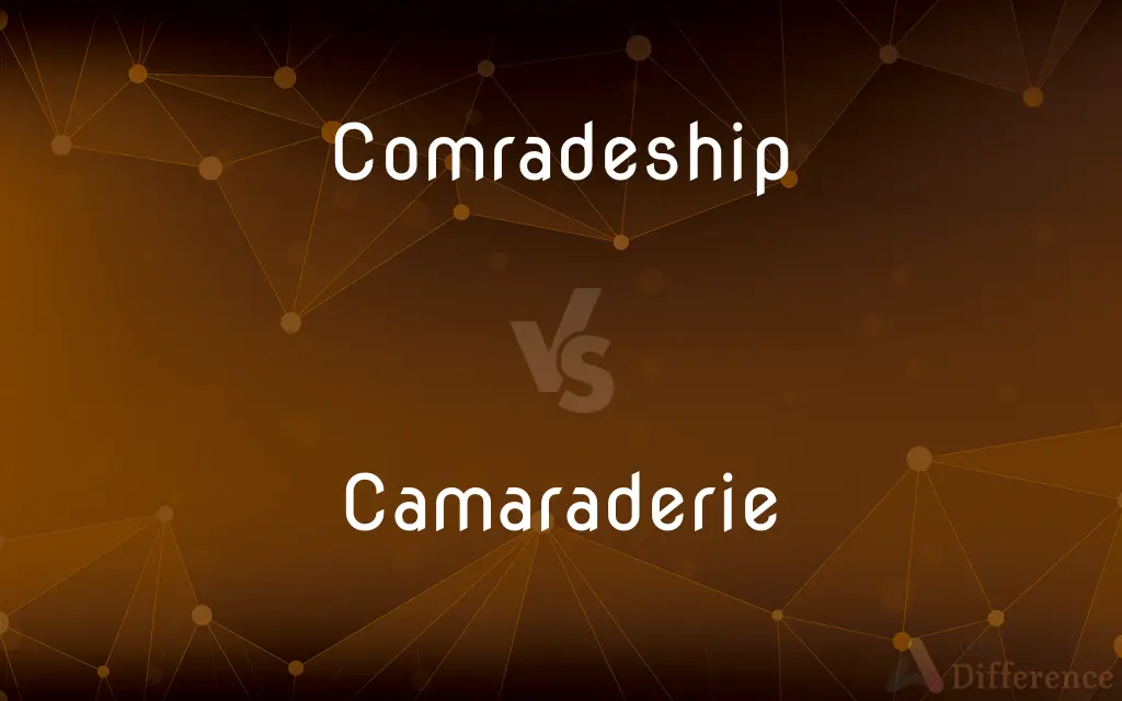 Comradeship vs. Camaraderie — What's the Difference?