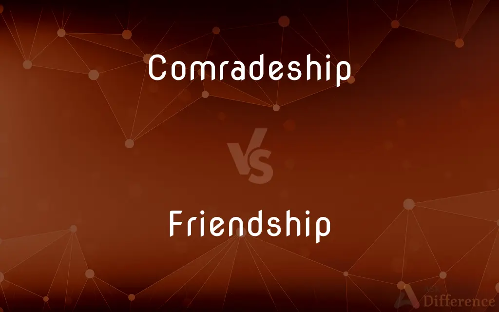 Comradeship vs. Friendship — What's the Difference?