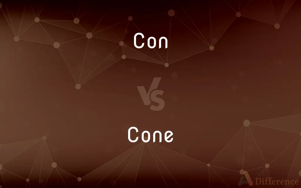 Con vs. Cone — What's the Difference?