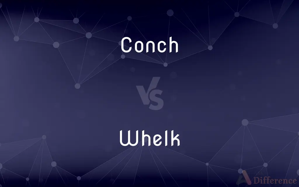 Conch vs. Whelk — What's the Difference?