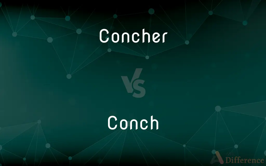 Concher vs. Conch — What's the Difference?