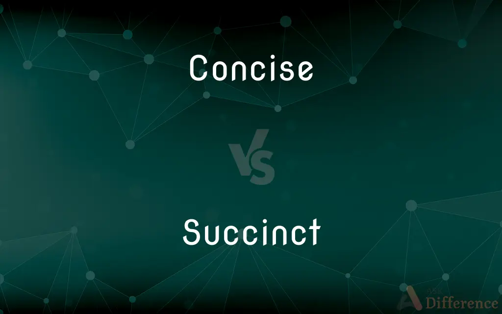 Concise vs. Succinct — What's the Difference?