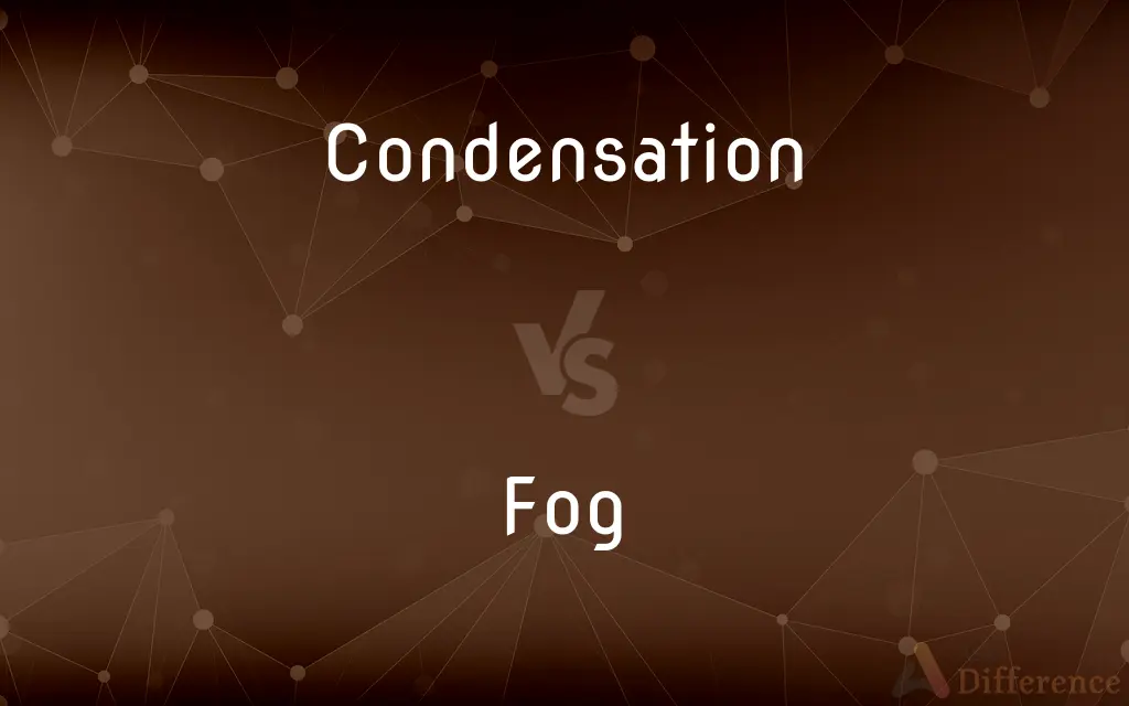 Condensation vs. Fog — What's the Difference?