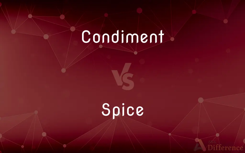 Condiment vs. Spice — What's the Difference?