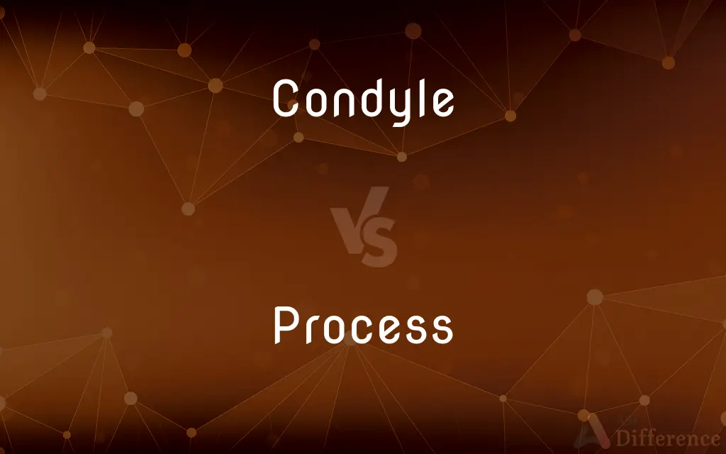 Condyle vs. Process — What's the Difference?
