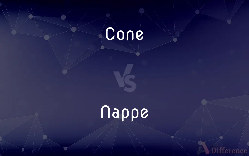 Cone vs. Nappe — What's the Difference?
