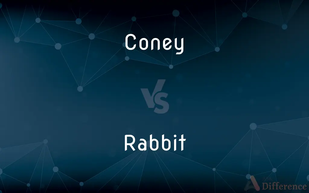 Coney vs. Rabbit — What's the Difference?