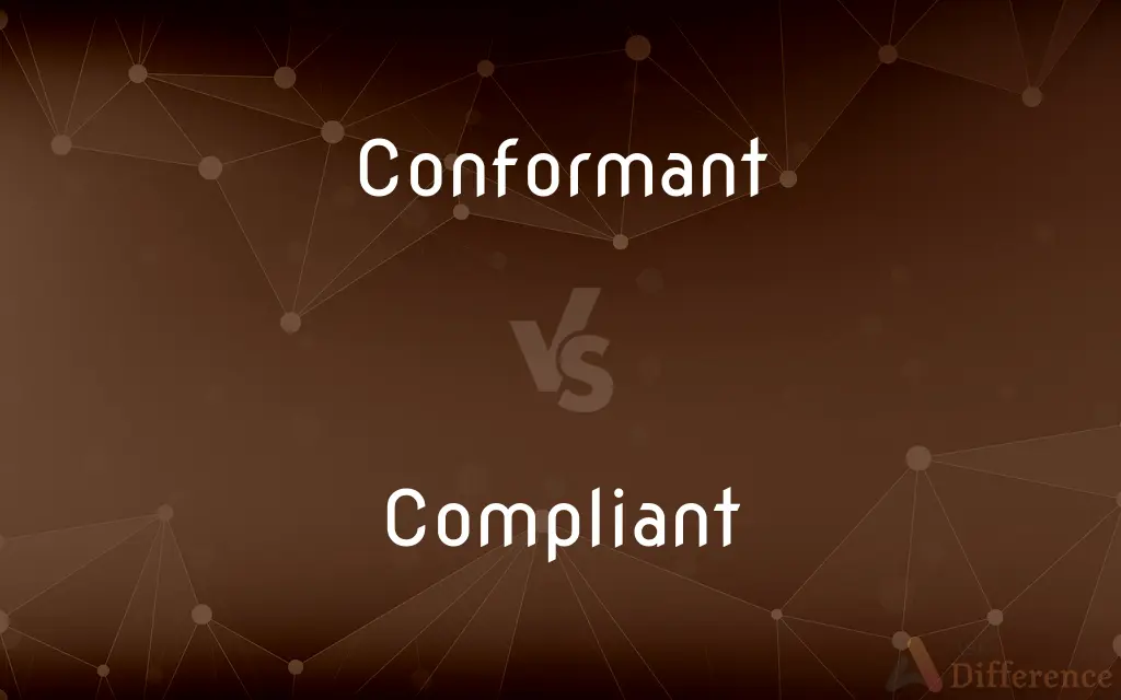 Conformant vs. Compliant — What's the Difference?