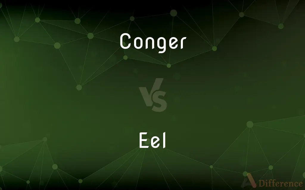 Conger vs. Eel — What's the Difference?
