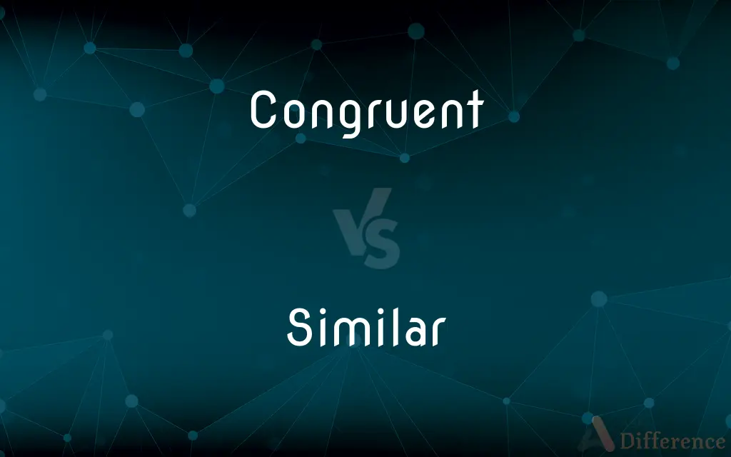Congruent vs. Similar — What's the Difference?