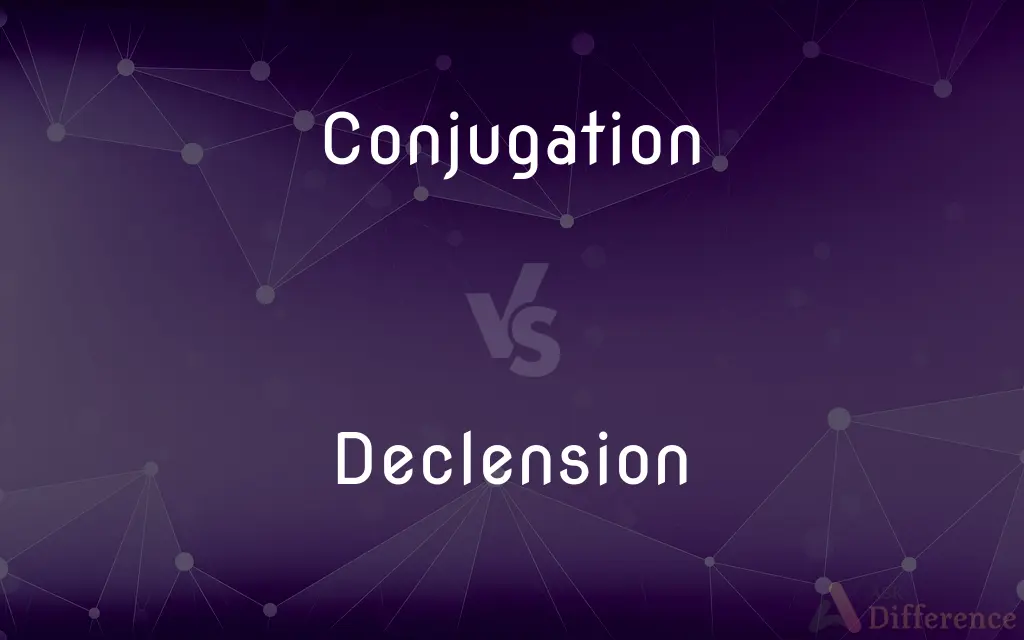 Conjugation vs. Declension — What's the Difference?